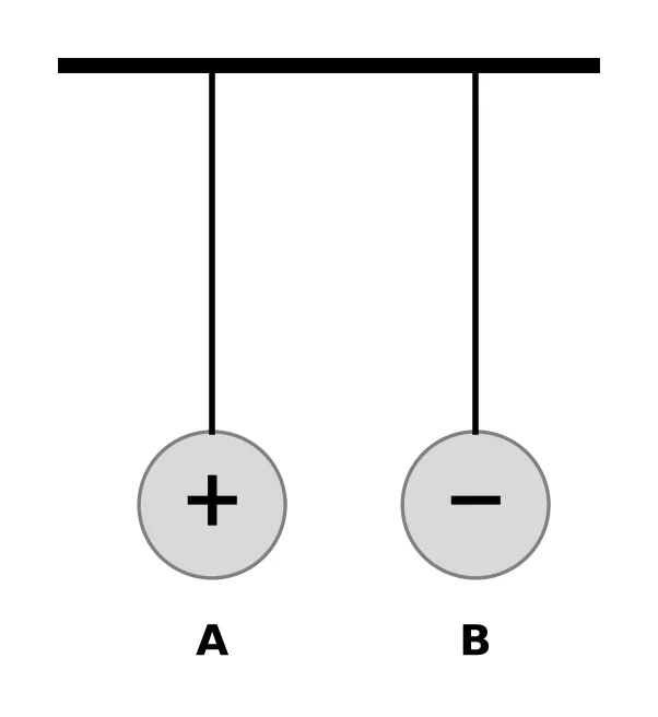 Diagram for this question