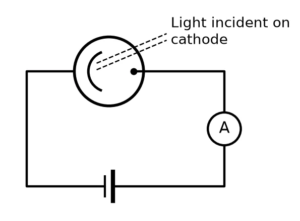 Diagram for this question